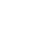 Dollar icon